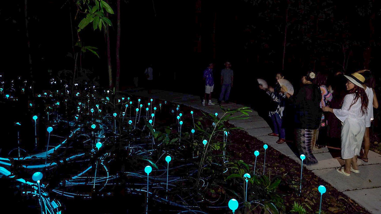 Inside Dream Forest Langkawi