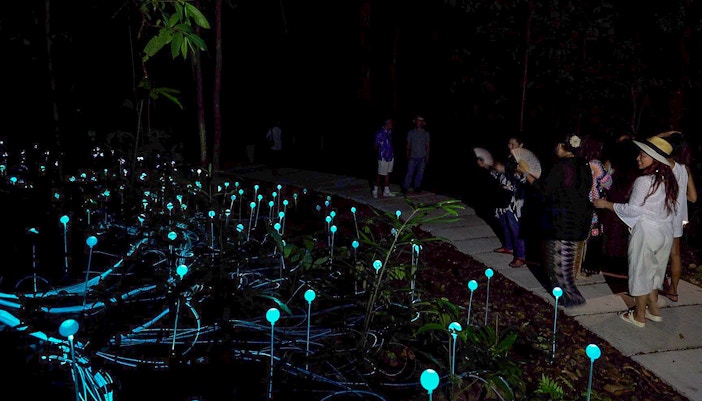 Dream Forest Langkawi Tickets