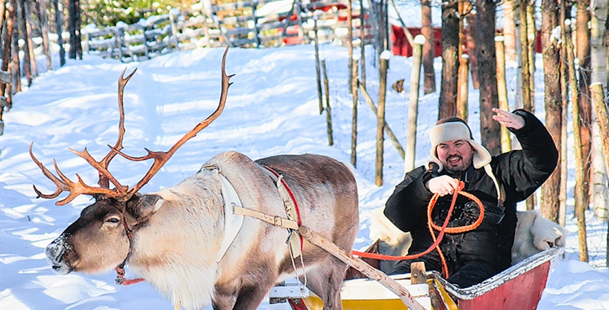 Rentier-Schlittenfahrt