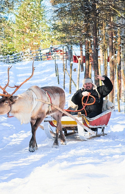 Reindeer pulling sled through snowy forest in Tromso tour.