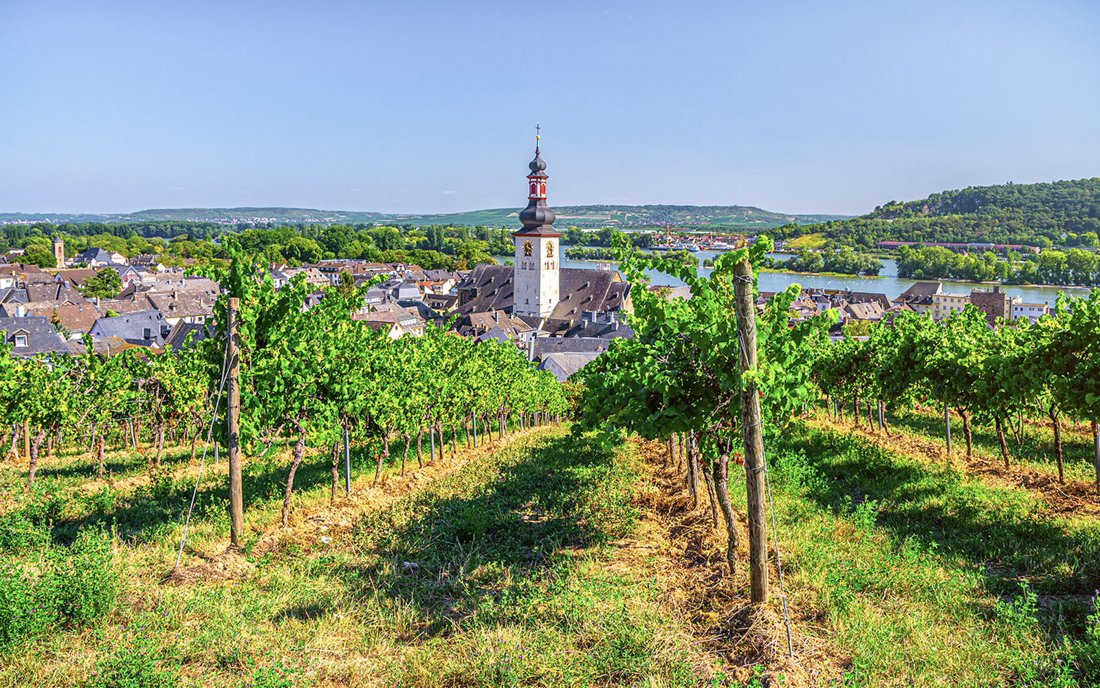 Aerial view of vineyards and church in Rhine Valley, Germany.