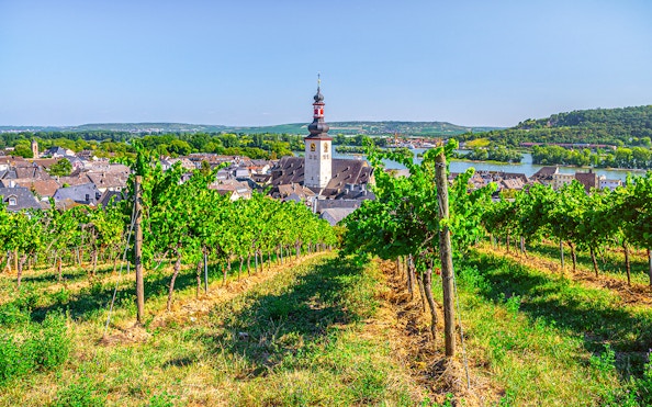 Aerial view of vineyards and church in Rhine Valley, Germany.