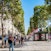 Avenue des Champs-Élysées