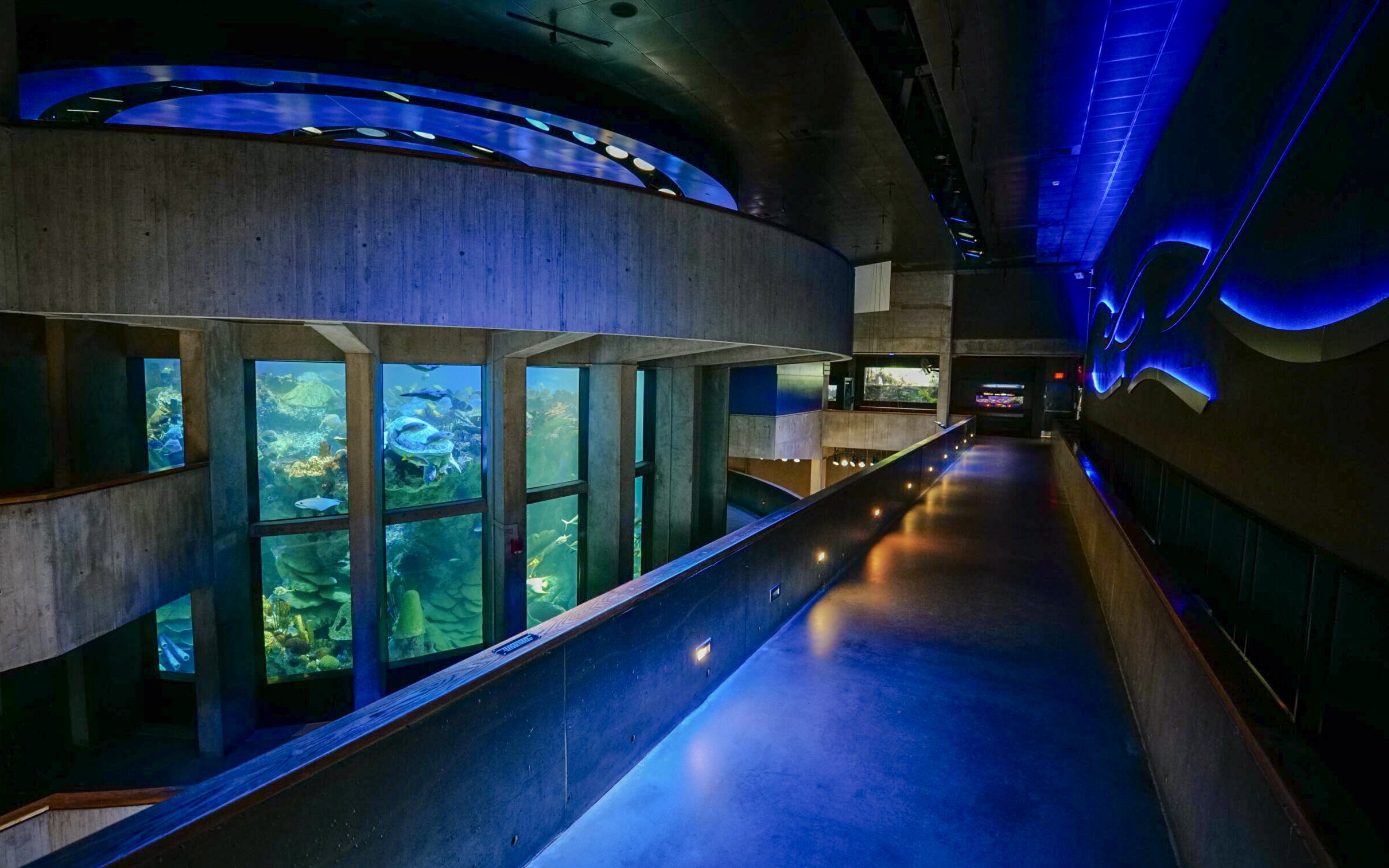 Giant Ocean Tank at New England Aquarium, Boston, showcasing marine life through large viewing windows.