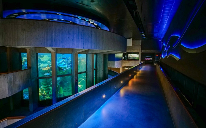 Giant Ocean Tank at New England Aquarium, Boston, showcasing marine life through large viewing windows.