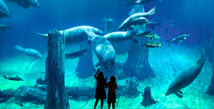 River Wonders di Singapore