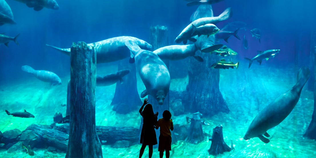 River Wonders Singapore
