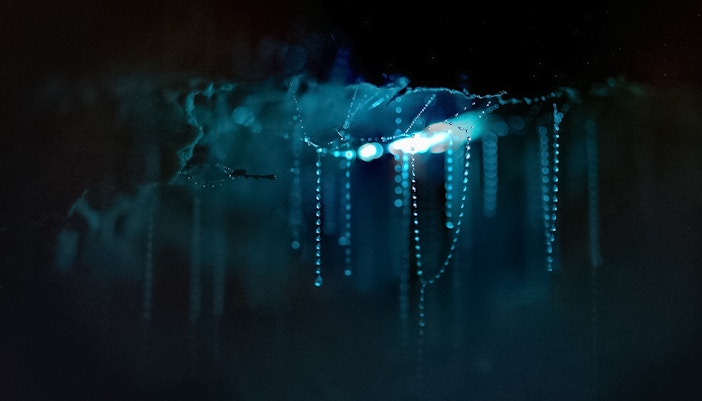 Glowworm cave with bioluminescent threads hanging from the ceiling in New Zealand.