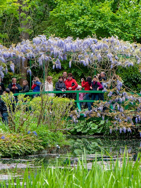 Visitors on a bridge in Monet's Garden, Giverny, surrounded by wisteria and lush greenery.