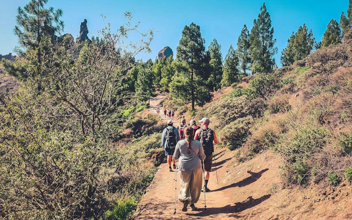 Hikers on a trail in Gran Canaria with volcanic landscape and pine trees.