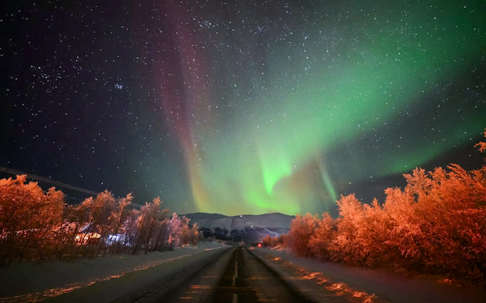 Northern lights over a snowy road in Abisko, Sweden, with illuminated trees.