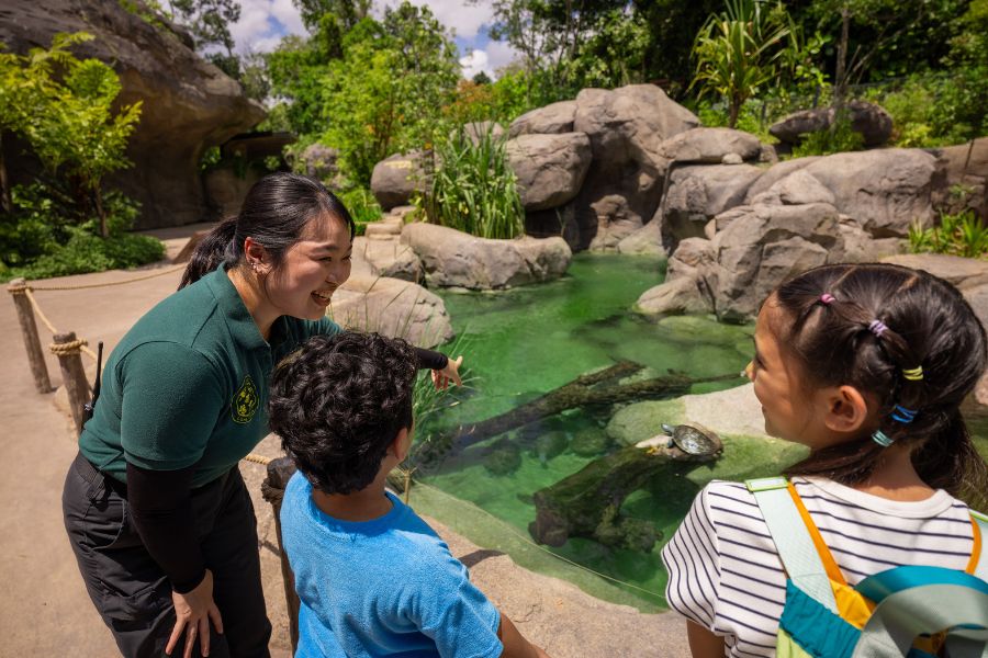 Malayan Sun Bear Ranger Talk