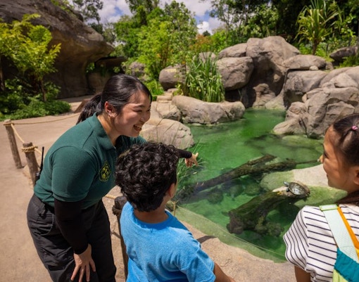 Malayan Sun Bear Ranger Talk