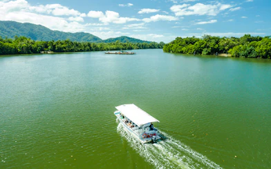Boat cruising on a river surrounded by lush greenery in Daintree, part of Billy Tea Safaris tour.