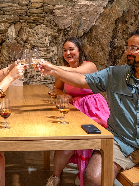 Group toasting wine glasses in a Douro Valley cellar during Porto tour.