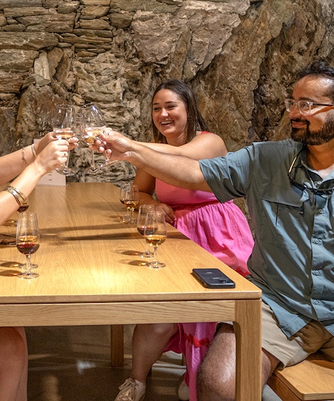 Group toasting wine glasses in a Douro Valley cellar during Porto tour.