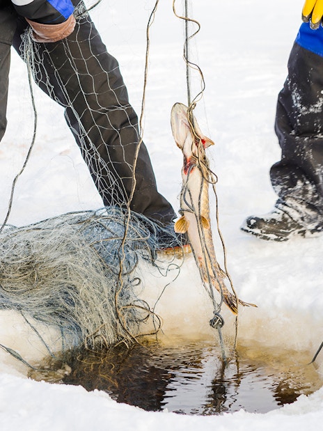 Two people retrieving fish from ice fishing hole with net on snowy lake.
