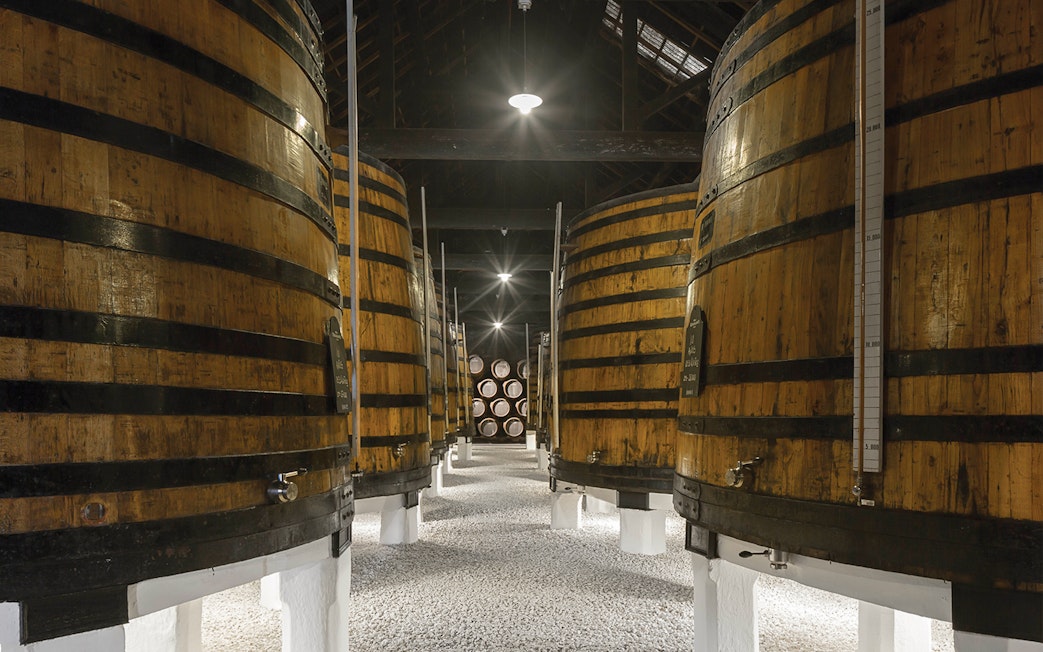 Large wooden barrels in Graham's Port Lodge cellar, Portugal, for guided tour with tastings.