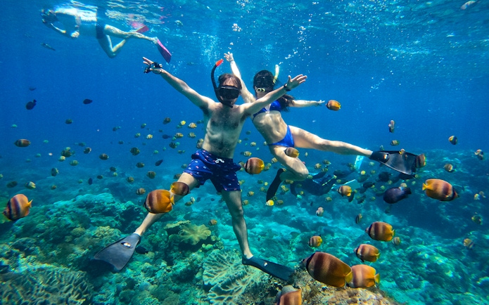 Snorkelers swimming among colorful fish in a vibrant coral reef.