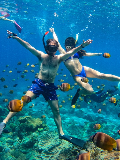 Snorkelers swimming among colorful fish in a vibrant coral reef.