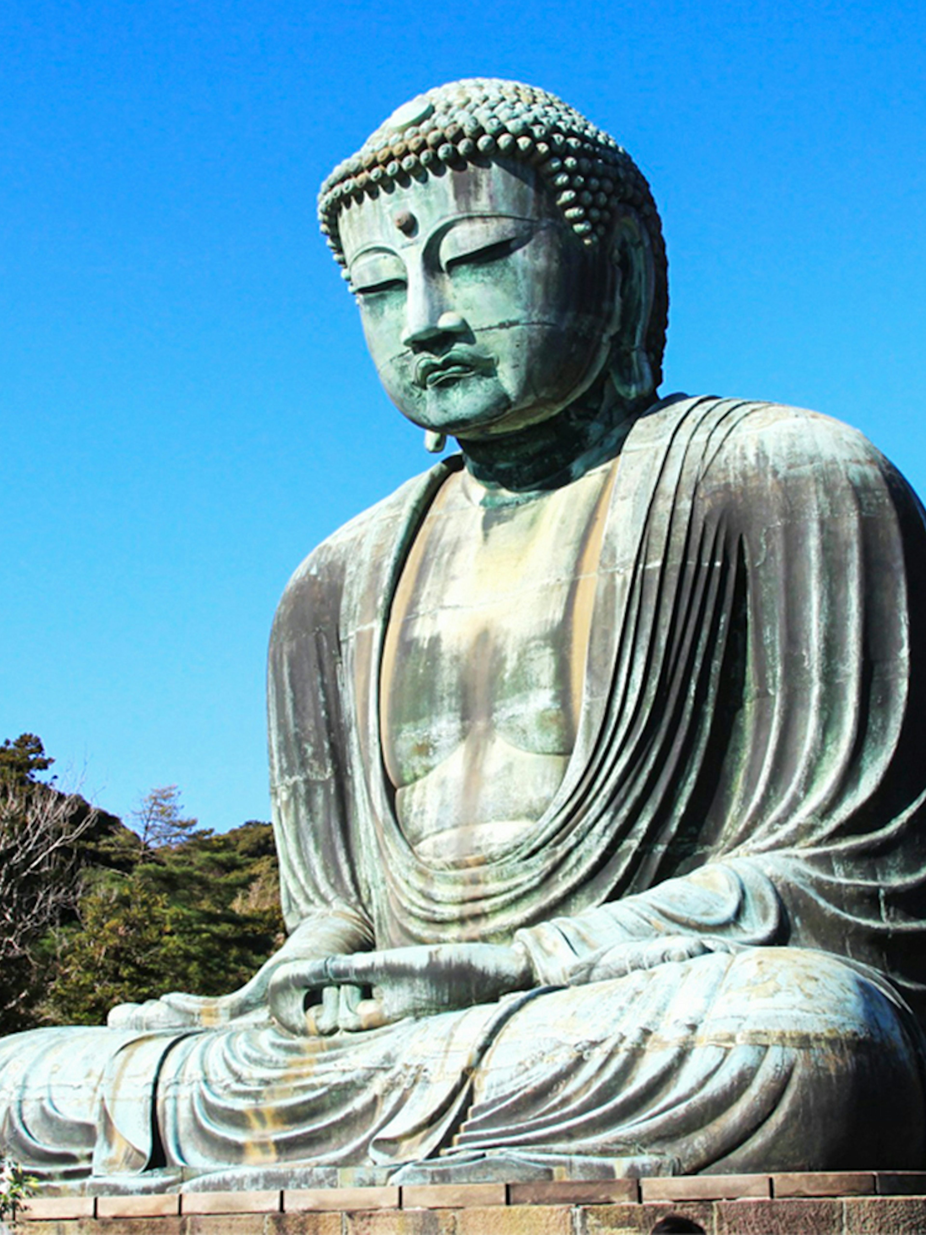 Great Buddha of Kamakura statue in Japan surrounded by trees.