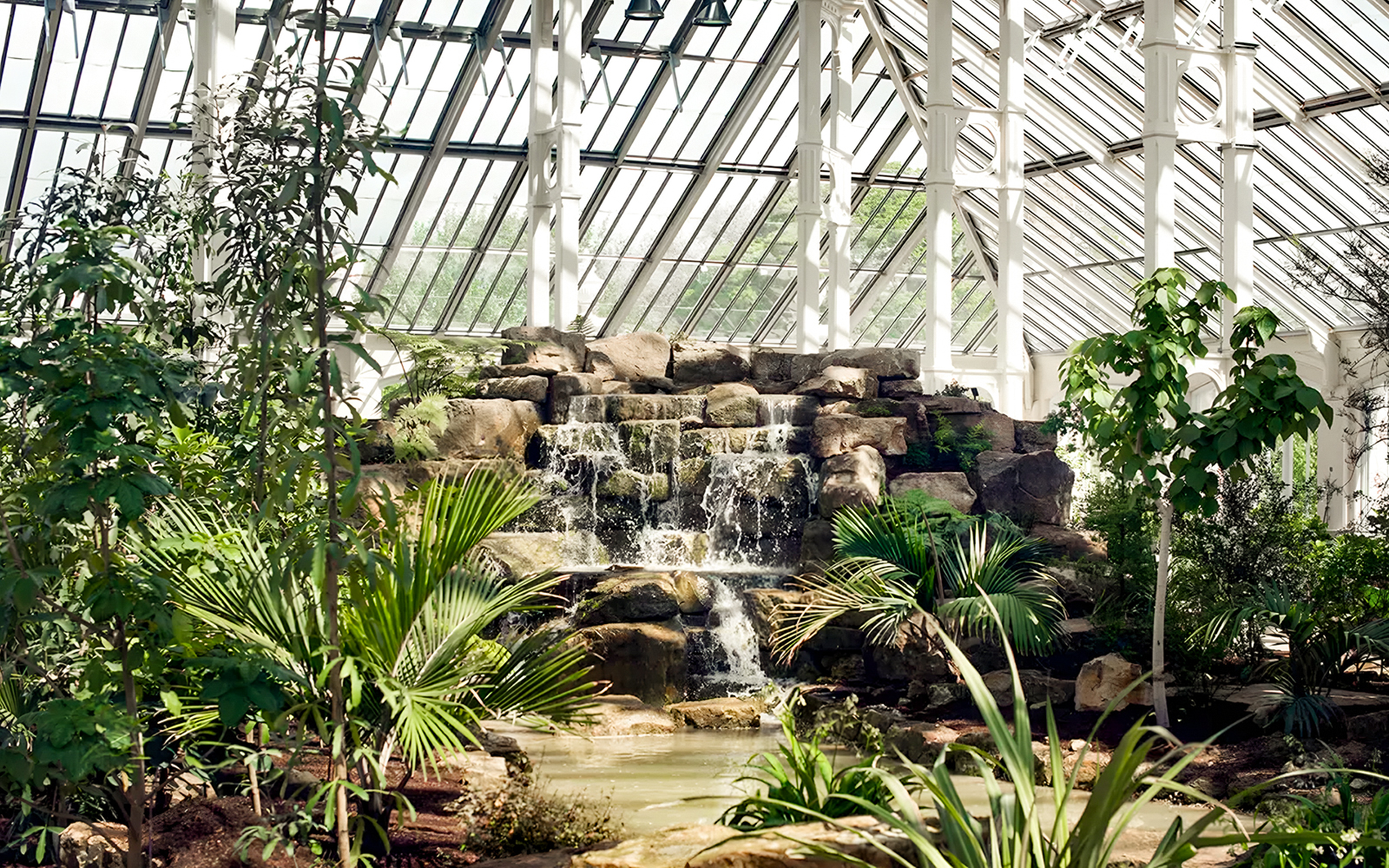 Waterfall and lush greenery inside Kew Gardens' glasshouse, London.