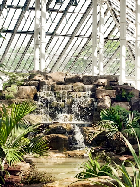 Waterfall and lush greenery inside Kew Gardens' glasshouse, London.