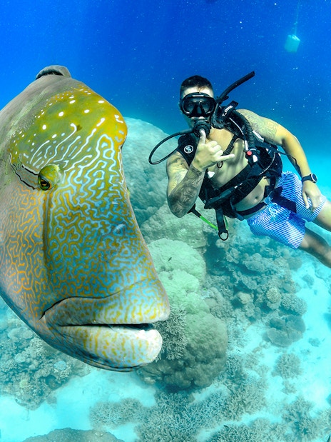 Snorkeler with a large fish at Great Barrier Reef during full day cruise.