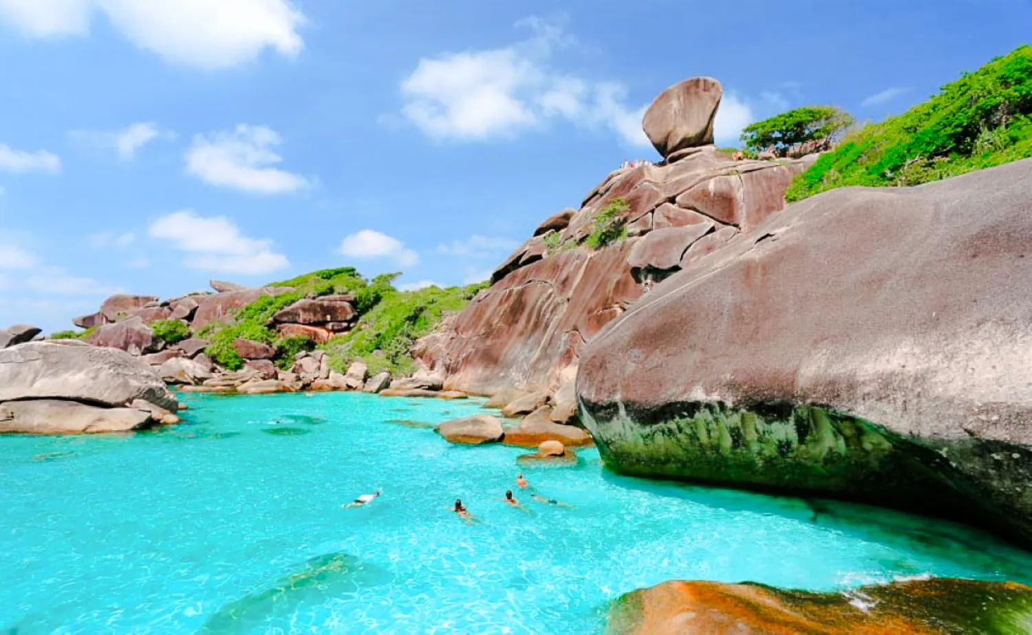 Krabi: Similan Islands Day Trip by Speedboat & Buffet Lunch