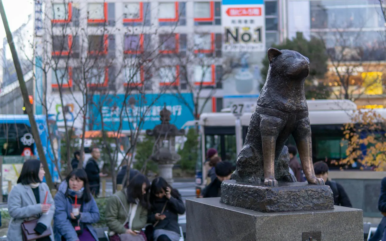 Tokyo Shibuya Sky, Crossing, and Hachiko Guided Walking Tour with SHIBUYA SKY Admission