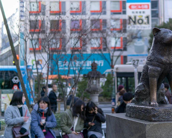 Tokyo Shibuya Sky, Crossing, and Hachiko Guided Walking Tour with SHIBUYA SKY Admission