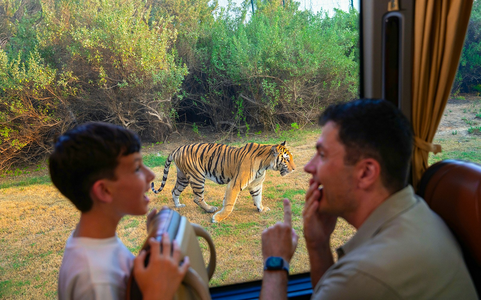 Visitors observing a tiger from a safari vehicle at Dubai Safari Park.
