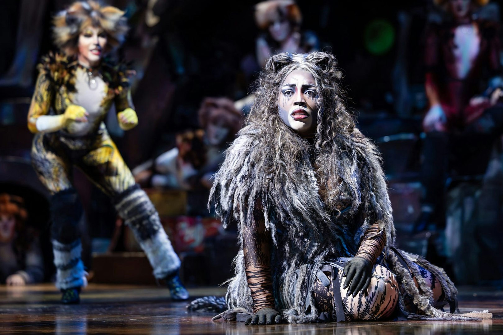 Performers in costume during Cats show in Perth.