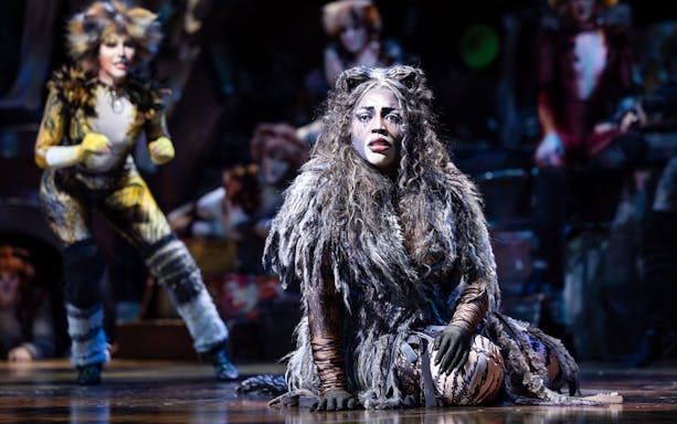 Performers in costume on stage at Cats Show, Perth.