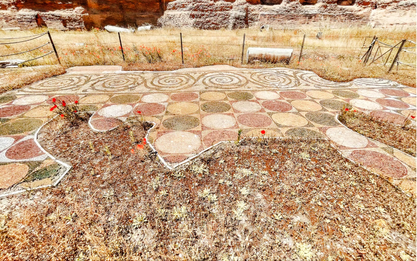 Baths of Caracalla and Circus Maximus Guided Tour Image 2