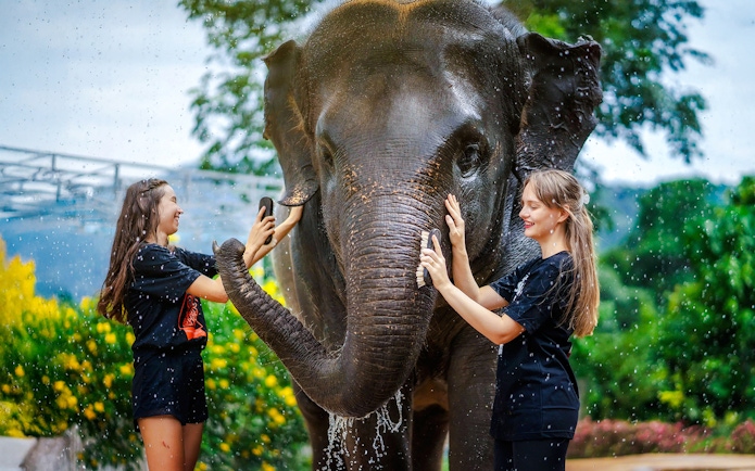 Women washing an elephant at Elephant Jungle Sanctuary, Phuket, Thailand.