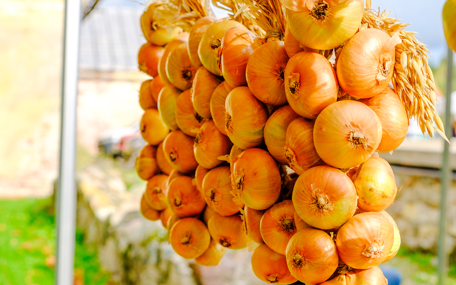 Heist at the Louvre Museum
