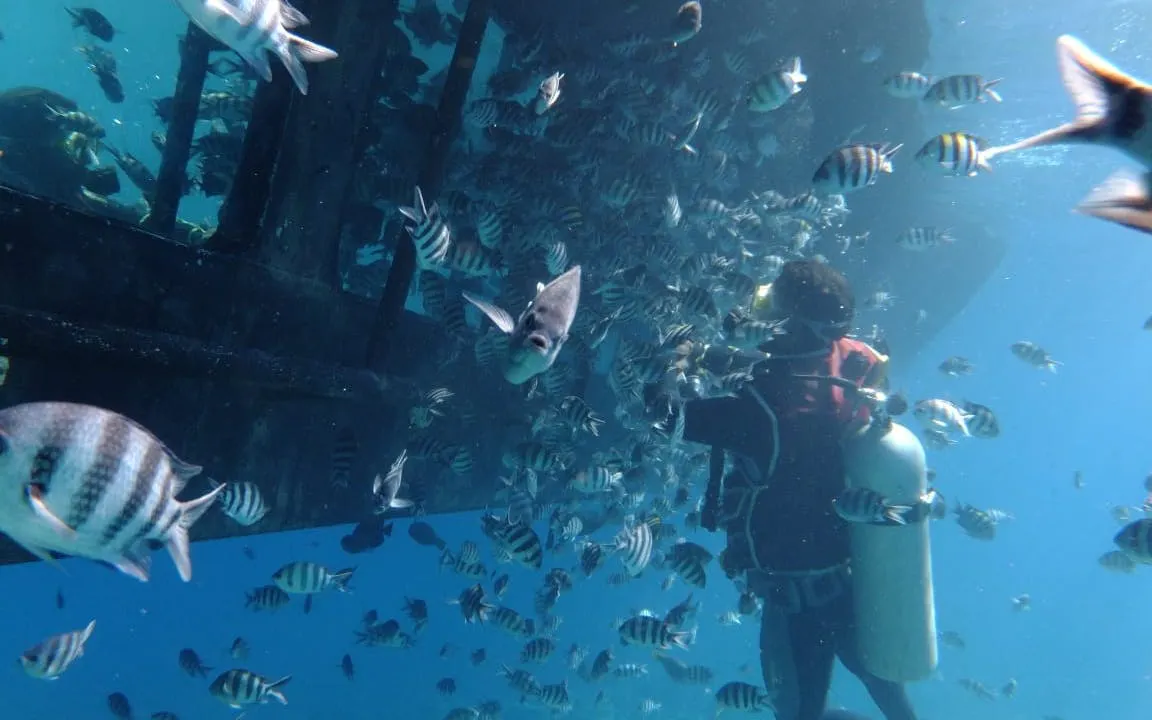halvubåttur i hurghada med snorkelstopp-1
