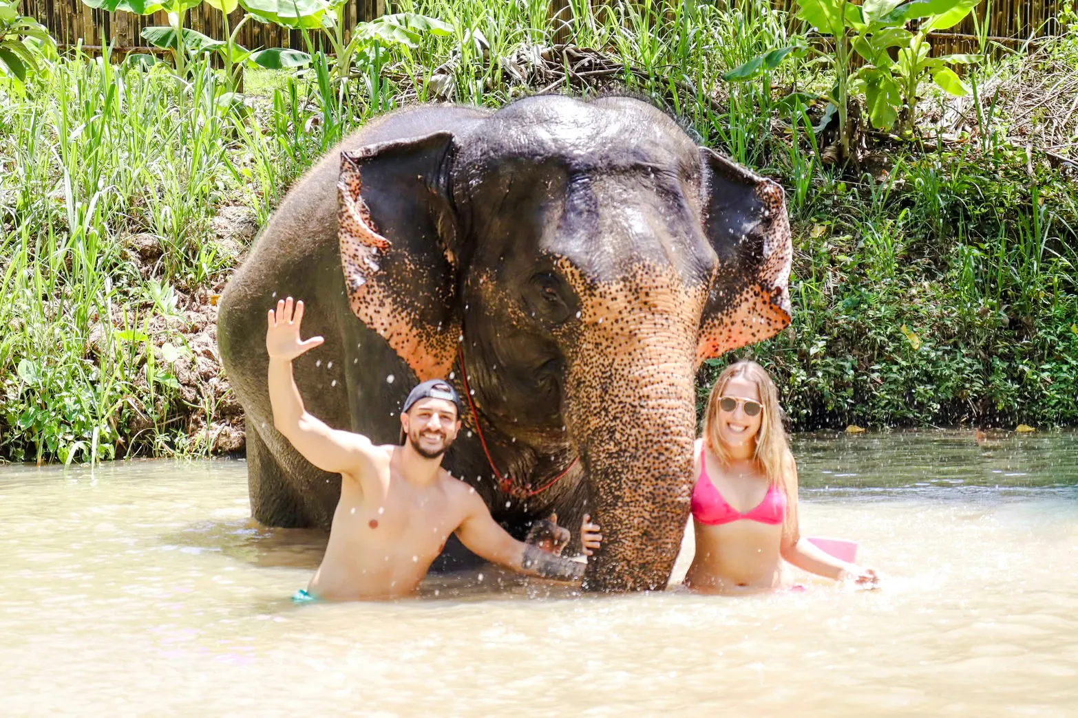 Kayaking and swimming with an elephant in Krabi, Thailand.