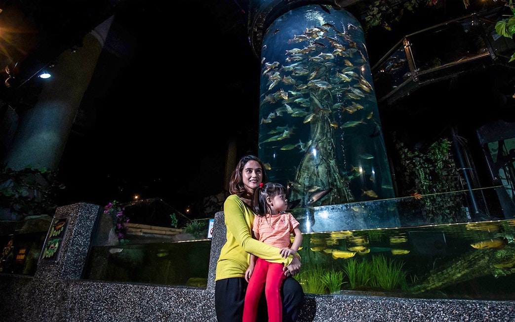 Visitors at Aquaria KLCC viewing a large fish tank with diverse marine life.