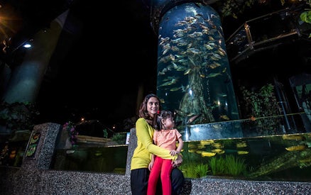 Visitors at Aquaria KLCC viewing a large fish tank with diverse marine life.