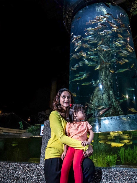 Visitors at Aquaria KLCC viewing a large fish tank with diverse marine life.