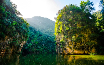 from kuala lumpur: private ipoh heritage & kek lok tong cave temple day trip-8