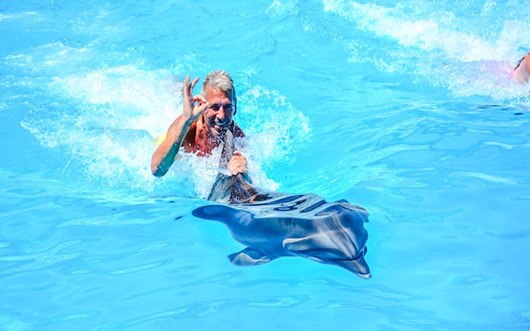 Tourist interacting with a dolphin during Private Dolphin Swim Adventure.