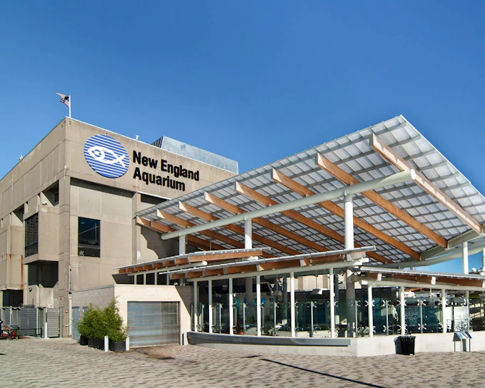 New England Aquarium Tickets