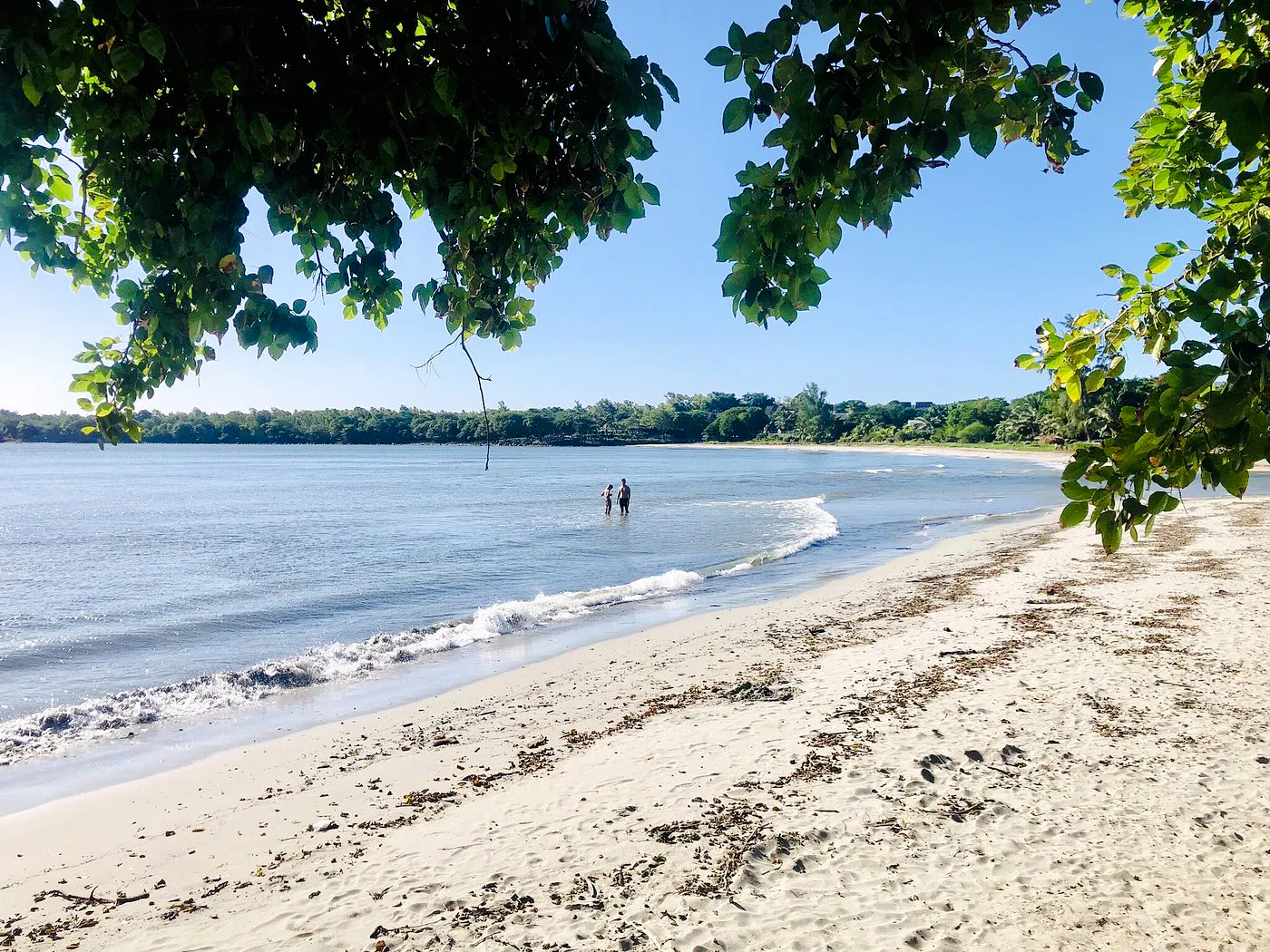 Mauritius Private Nature Tour with World of Seashells Museum and Lunch