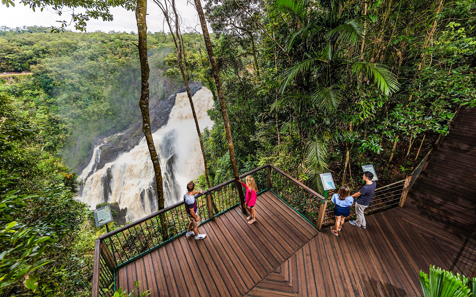 Visitors at Barron Falls lookout near Skyrail station, surrounded by lush rainforest.