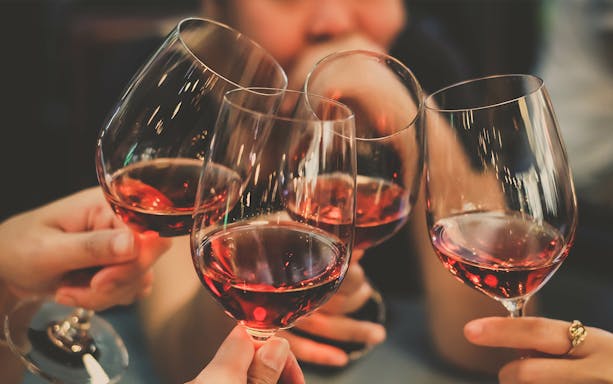 Toasting with red wine glasses during Algarve winery tour.