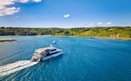 Return ferry via Hauraki Gulf