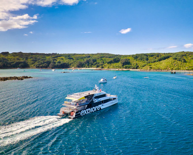 From Auckland: Tiritiri Matangi Island Day Trip with Return Ferry